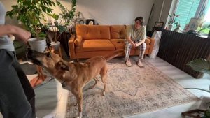 Фрагмент урока №3 из Интенсива на платформе Умный Друг