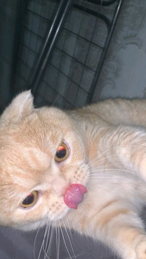 люблб Матвея