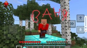 Стив и нул!!!