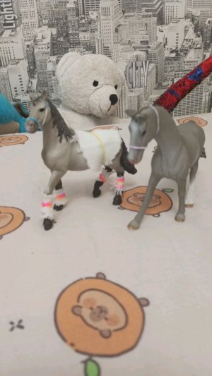 тренировка от первого лица