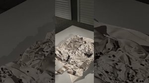 Царская пристань 2025...