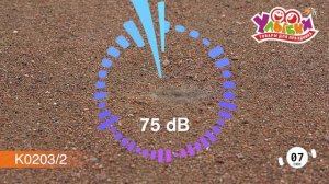 K0203-2 Little Pirat