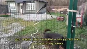 участок в поселке Мельниково Зеленоградского района