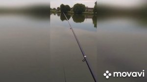 Вот это рыбалка/ Клевое место на пруду.