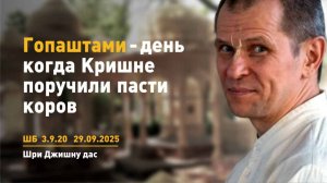 ШБ 3.9.20 Гопаштами – день, когда Кришне поручили пасти коров (29.10.2025)