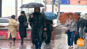 Циклон, как тебя зовут? Доброе утро. Фрагмент выпуска от 05.11.2025