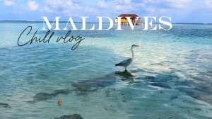 Мальдивские будни Medhuhufushi Island Resort Снова обгорели Наслаждаемся солнцем и океаном 🏝️