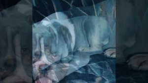 Надо было директором родиться