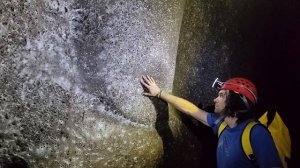 Крупнейшую в мире паутину с населением 111 000 пауков нашли в пещере на границе Албании и Греции