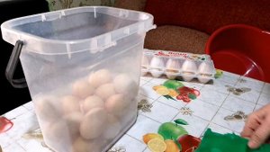 У нас пришла Зима ❄️ рассказываю наши новости