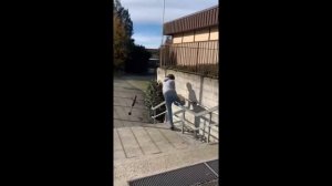 Смотреть смешные ролики — идеальный способ расслабиться и зарядиться позитивом! 😄