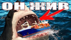 Мегалодон устроил кладбище акул у берегов Австралии но ученые игнорируют существование суперхищника?