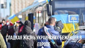 Мир со всеми. Сладкая жизнь. Всем приграл.