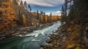 🎼. Chopin- «Prelude In e Minor Opus 28»