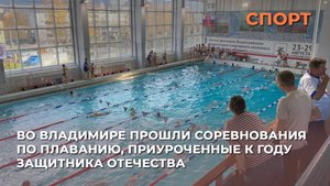 Во Владимире прошли соревнования по плаванию, приуроченные к году защитника Отечества