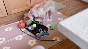 Фрагмент урока №1 из Интенсива на платформе Умный Друг