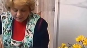 Фруктовое мороженое