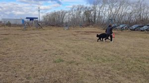 1.  выражено/пож ОАО *СУМЗ* МЕДНАЯ ИМПЕРИЯ МАРКУС (TZW Maksimo – Оао *Сумз* МИ Эллоу Роуз)