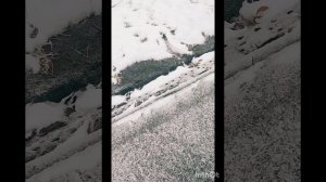 К нам пришла настоящая зима. Моя пробежка по стадиону продолжается🤾♂️⛹️♀️ 7,63км.