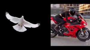 14 НОЯБРЯ НА КАНАЛЕ 
" РАСПЛАТА "