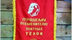 Клип оставляет неизгладимое впечатление, вдохновляя на новые свершения во имя Родины.