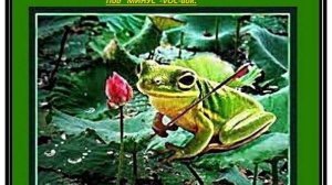 ЛЯГУШКА (Три жедания) - (КАВЕР-КЛИП под МИНУС-VOC-вок.) исп. А.Лебедев. Видео от  27.02.2022г(УЛ.202