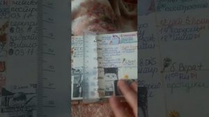 мой абрикосик