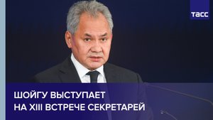 Шойгу выступает на XIII встрече секретарей