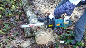 2025-11-05 Березовые дрова, конечно, хороши, но забор жалко очень. Работы много.