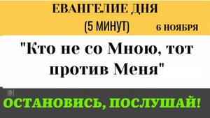 6 ноября Евангелие дня Кто не со Мною, тот против Меня. О каком выборе говорит Христос  (5 минут)