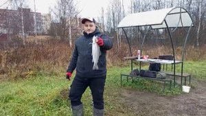 Светлые Горы Форель6 05.11.2025г.