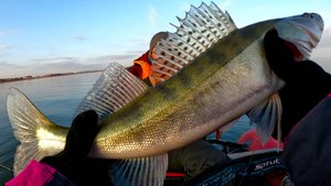 Вчера вышли на ПЕРВЫЙ ЛЁД сегодня ДУБАСИМ СУДАКОВ на СПИННИНГ! ОПЕРАТОР меня УДЕЛАЛА! ТАКТИКА НЫТЬЁ