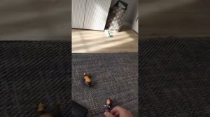 маша и медведь сказка на ночь 39.