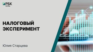 Налоговый эксперимент | Юлия Старцева