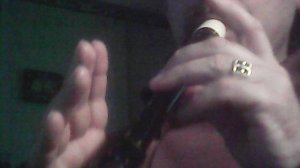 Блок-Флейта - Во саду ли в огороде