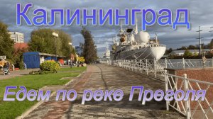 Едем на катере с гидом по реке Преголя в Калининграде.
