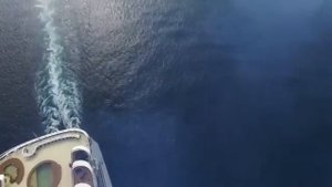 К какому событию готовятся Глобалисты?