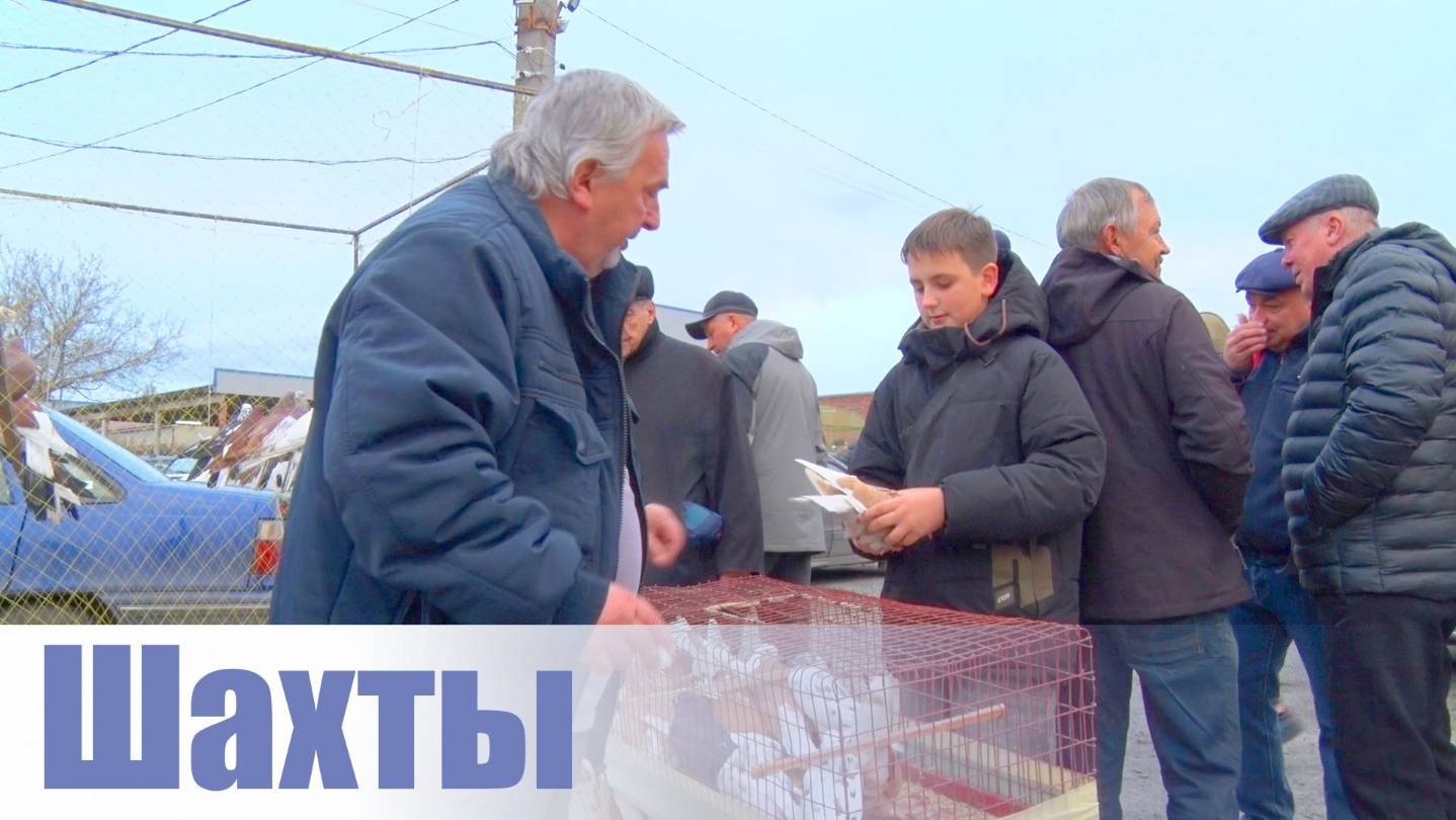 Птичий рынок. Шахты. [02.11.2025] смотреть онлайн