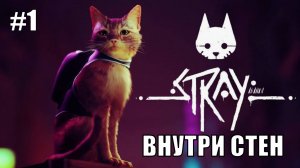 Stray Полное Прохождение на PS5 #1 Внутри стен #stray #ps5 #ps4 #sony #cats #animals #прохождение