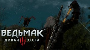 Сломанная виверна:)►Ведьмак 3 #25