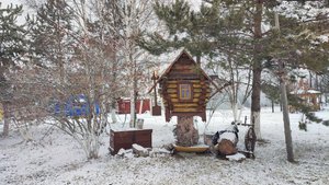 Поездка к маме. Дневник за 05.11.2025