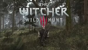 Witcher 3 Solitude in Velen Ambience Music