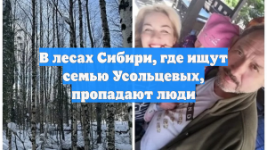 В лесах Сибири, где ищут семью Усольцевых, пропадают люди