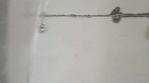 Электрик рукожеп