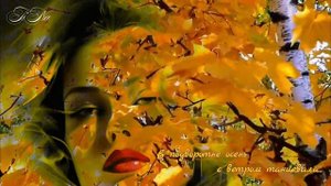 В подворотне осень с ветром танцевала... 🍂🍁🍂🍁🍂🎷🎷🎷