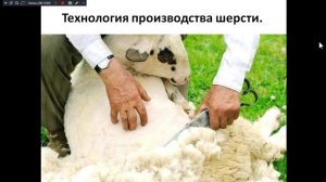 Лекция №8. Зоотехния. Технология воспроизводства овес. 231 группа. 12.11.25.