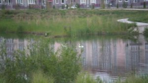 Орнитологический парк Адлер