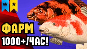 🤑 НОВЫЕ ТОЧКИ ФАРМА РР4! Раздача ТРОФОВ • МЕДНОЕ Фарм