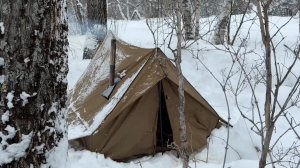 КАК ВАМ ТАКОЙ ПОХОД В ЗИМНИЙ ЛЕС?