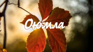 «Оюмла». («Мнения»)